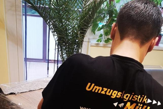 Laborumzug Lugau/Erzgeb stressfrei umziehen 